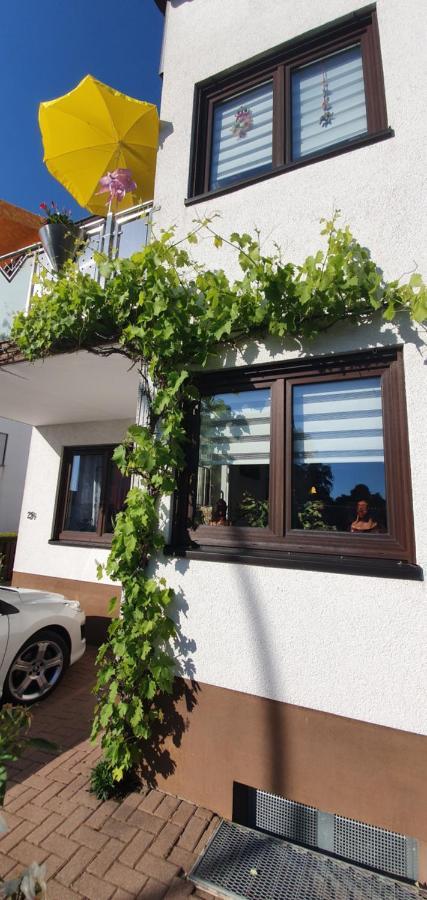 Apartament Karibu Tiefenthal Zewnętrze zdjęcie